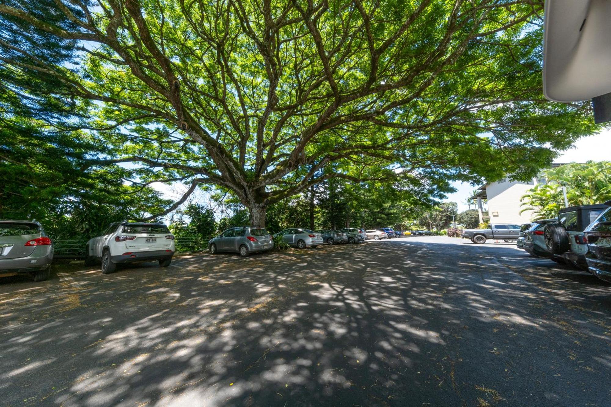 Hanalei Bay Resort Princeville Exteriér fotografie
